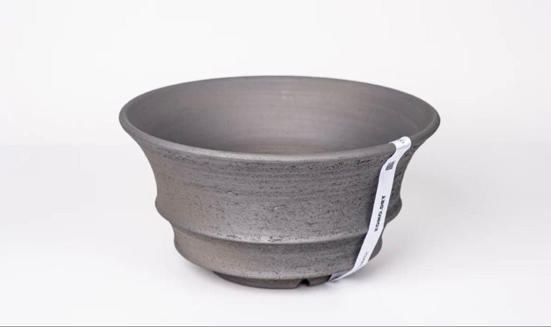 KOMODRY三州みやび鉢 パキプスInvisible ink SRL 鶴仙園 - メルカリ