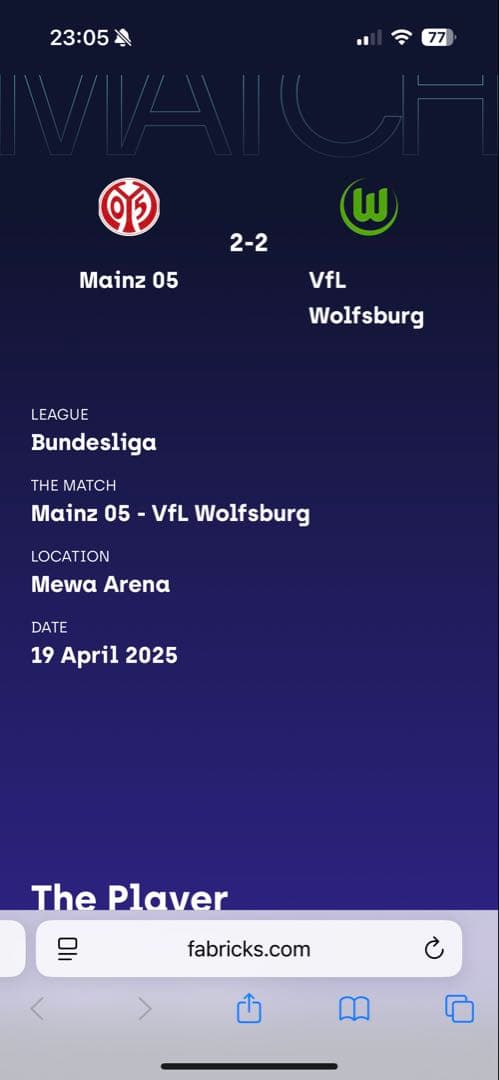 MAINZ 05 佐野海舟　実使用ユニフォーム　サイン入り