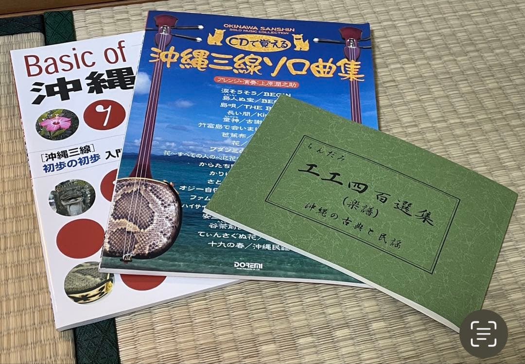 【みっこ】三味線本体 蛇皮 網目模様 セミハードケース、スタンド、付属品