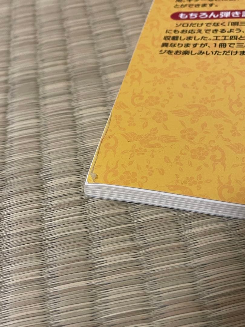 【みっこ】三味線本体 蛇皮 網目模様 セミハードケース、スタンド、付属品