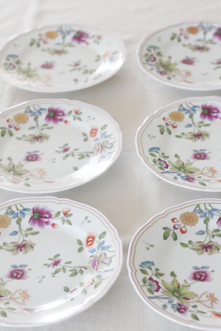 ６枚　Richard Ginori リチャードジノリ グランデューカ プレート皿