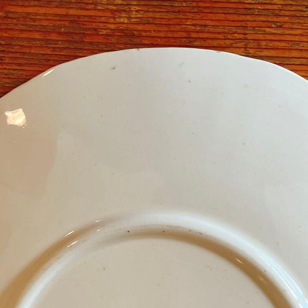 B サルグミンヌ obernai カップ＆ソーサー