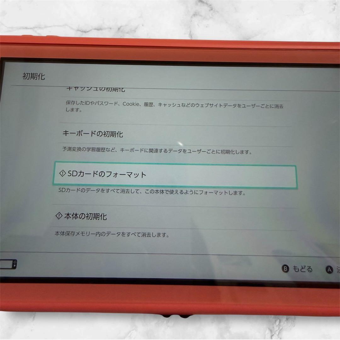 Nintendo Switch Lite 本体 充電器・SDカード付き