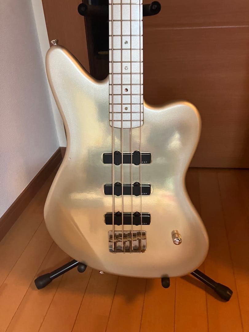 EDWARDS HEJ-100 黒夢 人時シグネチャーモデル ミラー塗装 - メルカリ