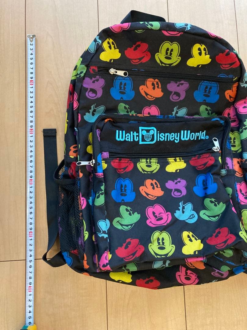 【海外限定】Disney World リュック　フロリダディズニーワールド