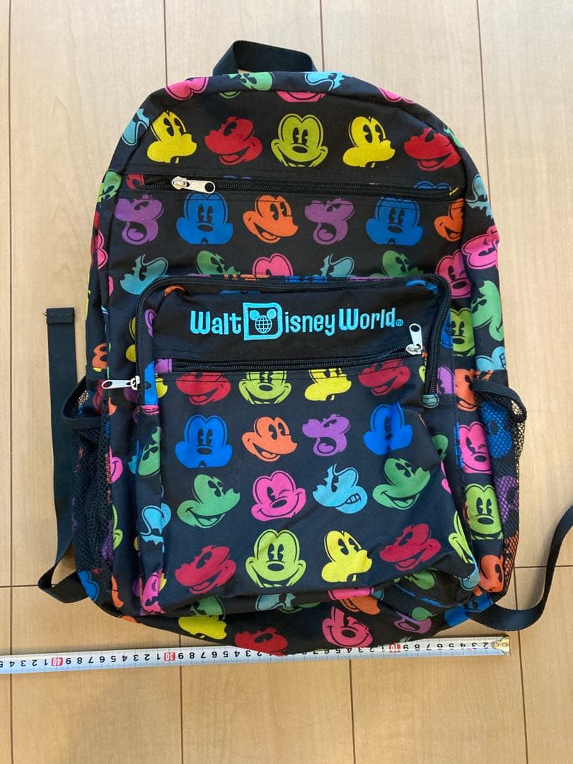 【海外限定】Disney World リュック　フロリダディズニーワールド