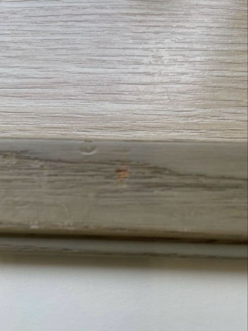 レオナルドウェーバー チャットハム リトグラフ Edition 210/350