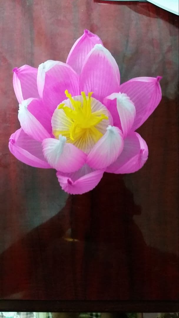 蓮の花の紙106 10個 蓮の紙 韓紙 ハスの花 韓国 蓮紙 - メルカリ