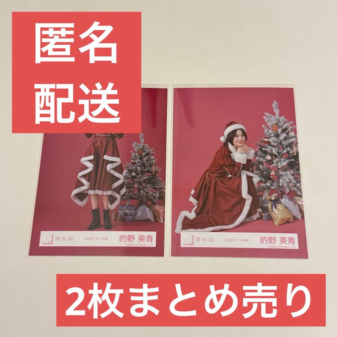 的野美青 櫻坂46 「2025年 サンタ衣装」生写真 2枚まとめ売り - メルカリ