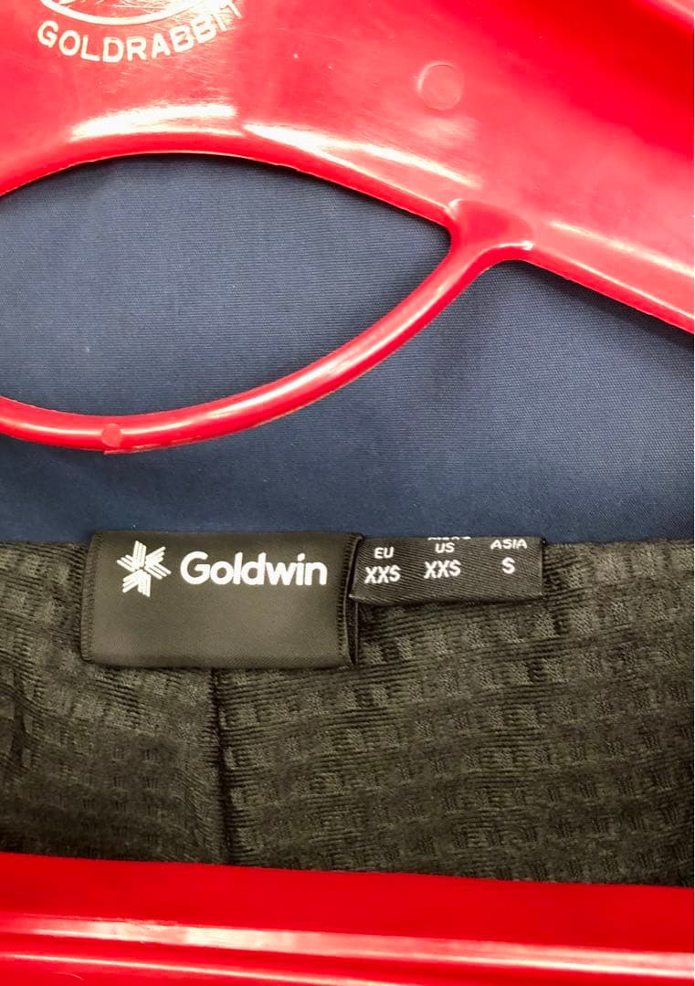 GOLDWIN スキーウェア上下 S 美品