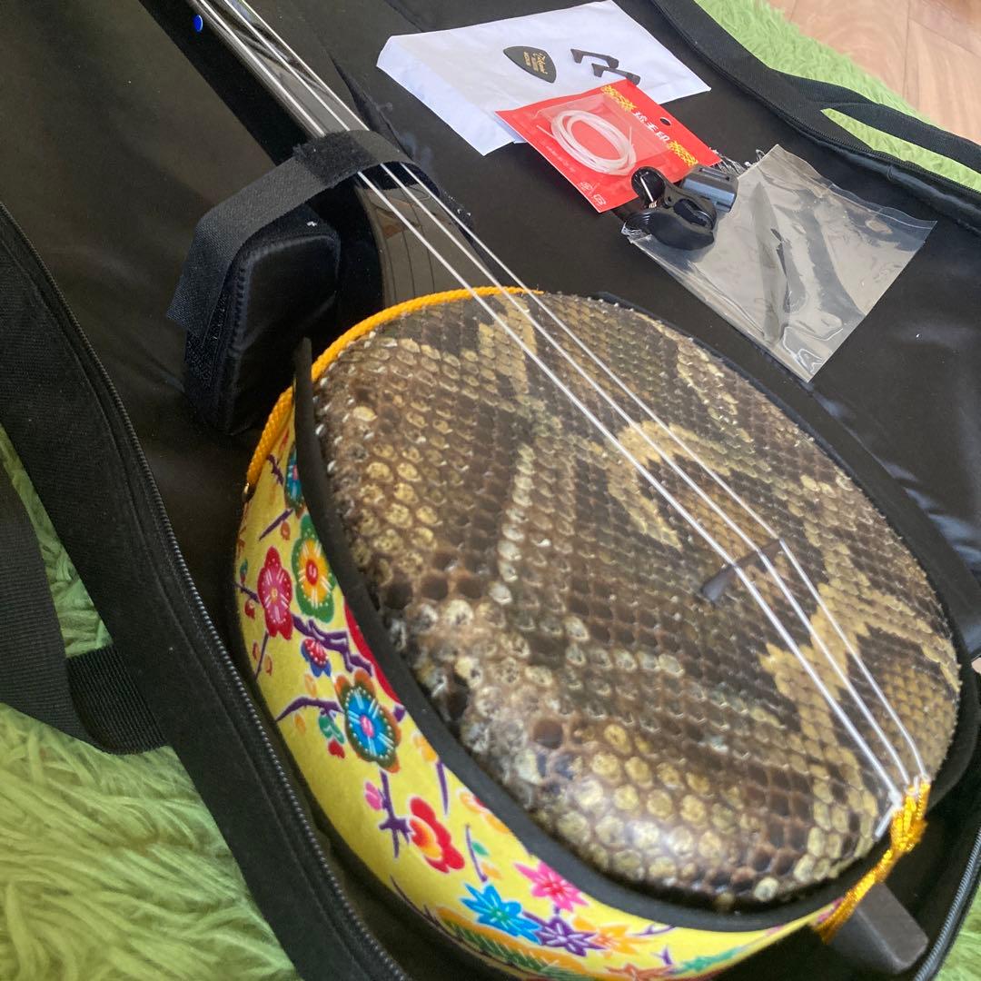 5月末まで:三線 本皮 強化張り ニシキヘビ ソフトケース 初心者セット