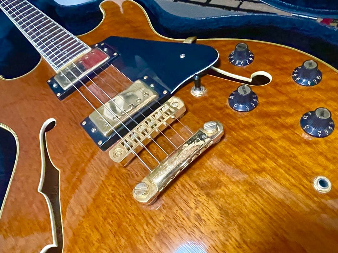 レア 美品 ARIA PRO II アリアプロ TA-550WA フルアコ - メルカリ