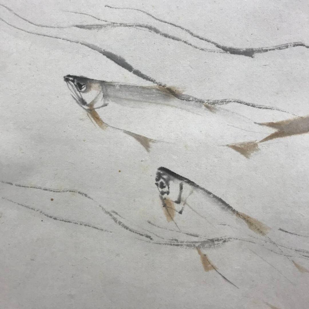 真作/藤井松山/鮎図/アユ図/清流魚図/初夏の掛軸/掛軸☆宝船☆AK-408