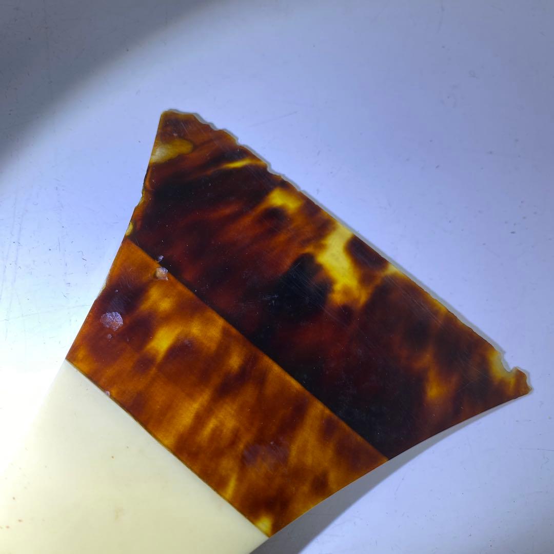 極上バチ　8本　1204g 東K7-1215② トヒチサ