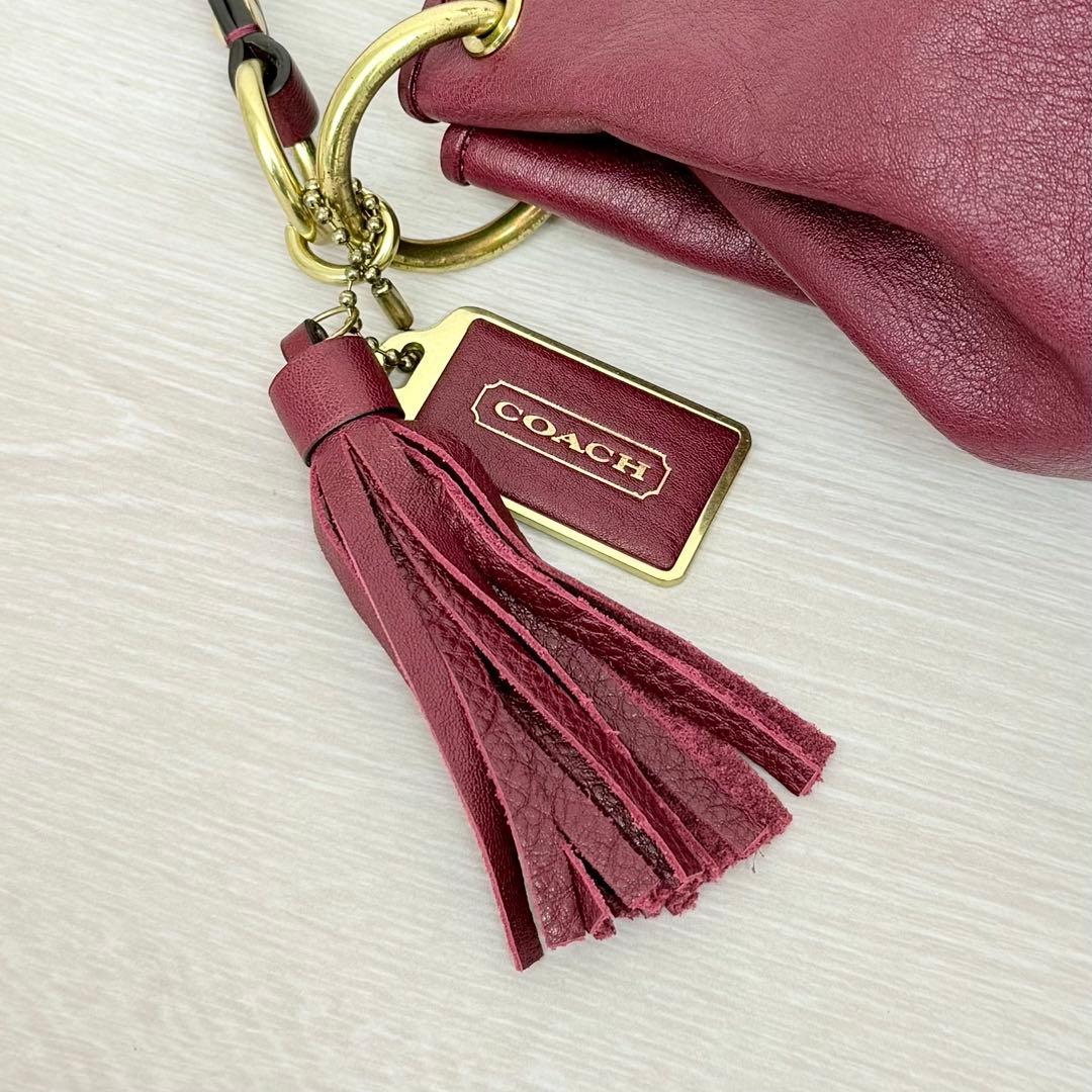 COACH ホーボー ワンショルダーバッグ ハラコ レオパード ターンロック