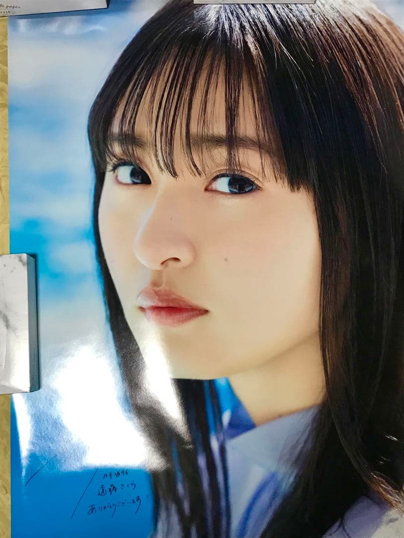 遠藤さくら 直筆サイン入り超特大ポスター 当選通知書付 可憐 写真集