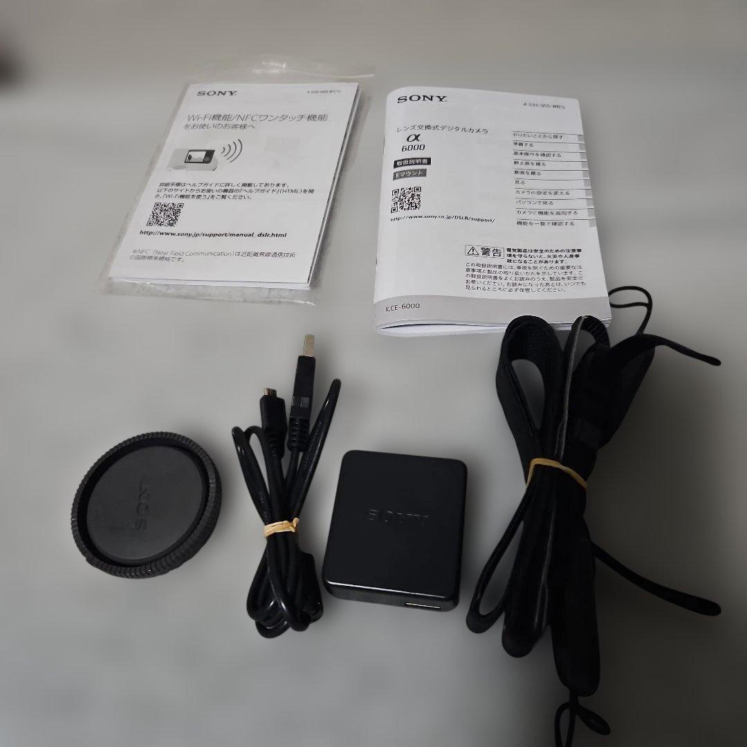 SONY α6000 ダブルズームレンズキット ILCE-6000Y