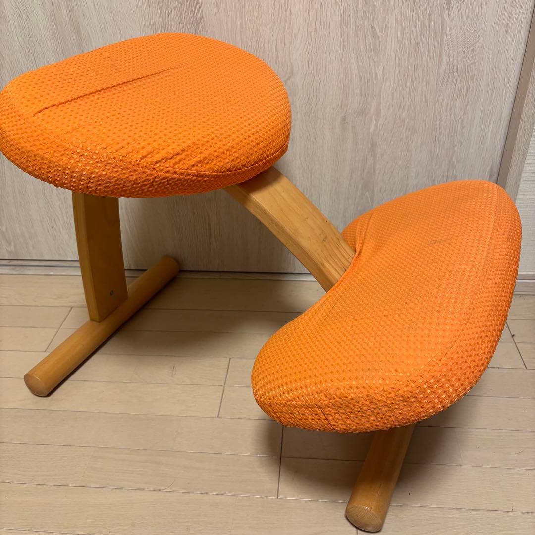 バランスイージー ノルウェー カバー付き 美品