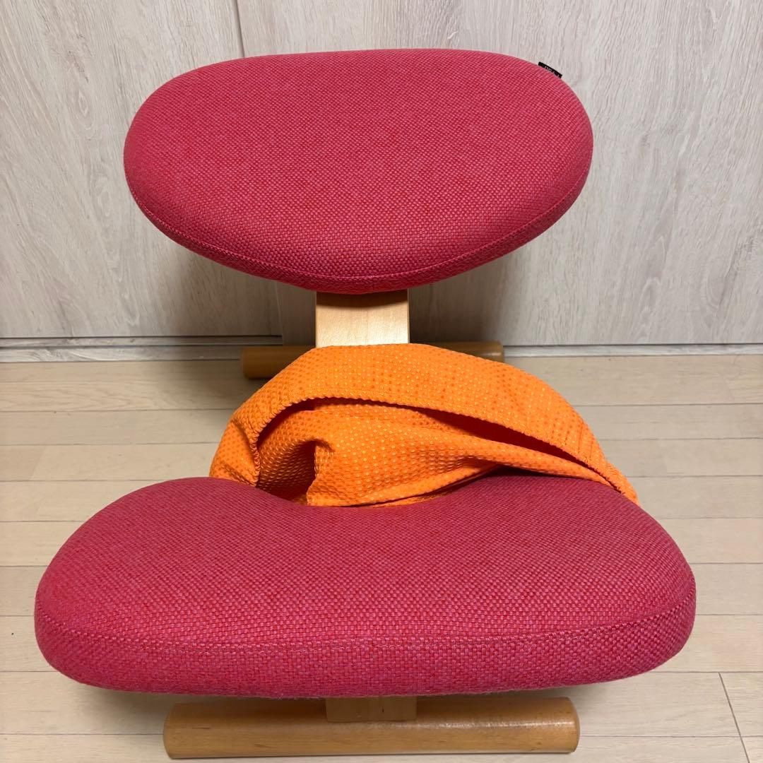 バランスイージー ノルウェー カバー付き 美品