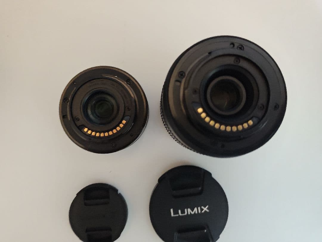 LUMIX G100Dミラーレス一眼カメラ 本体と付属品