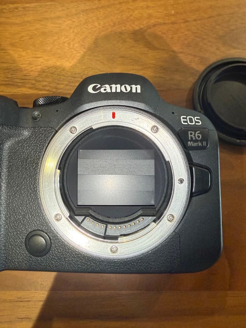 【美品】Canon EOS R6 Mark II 本体　ショット数8000以下！