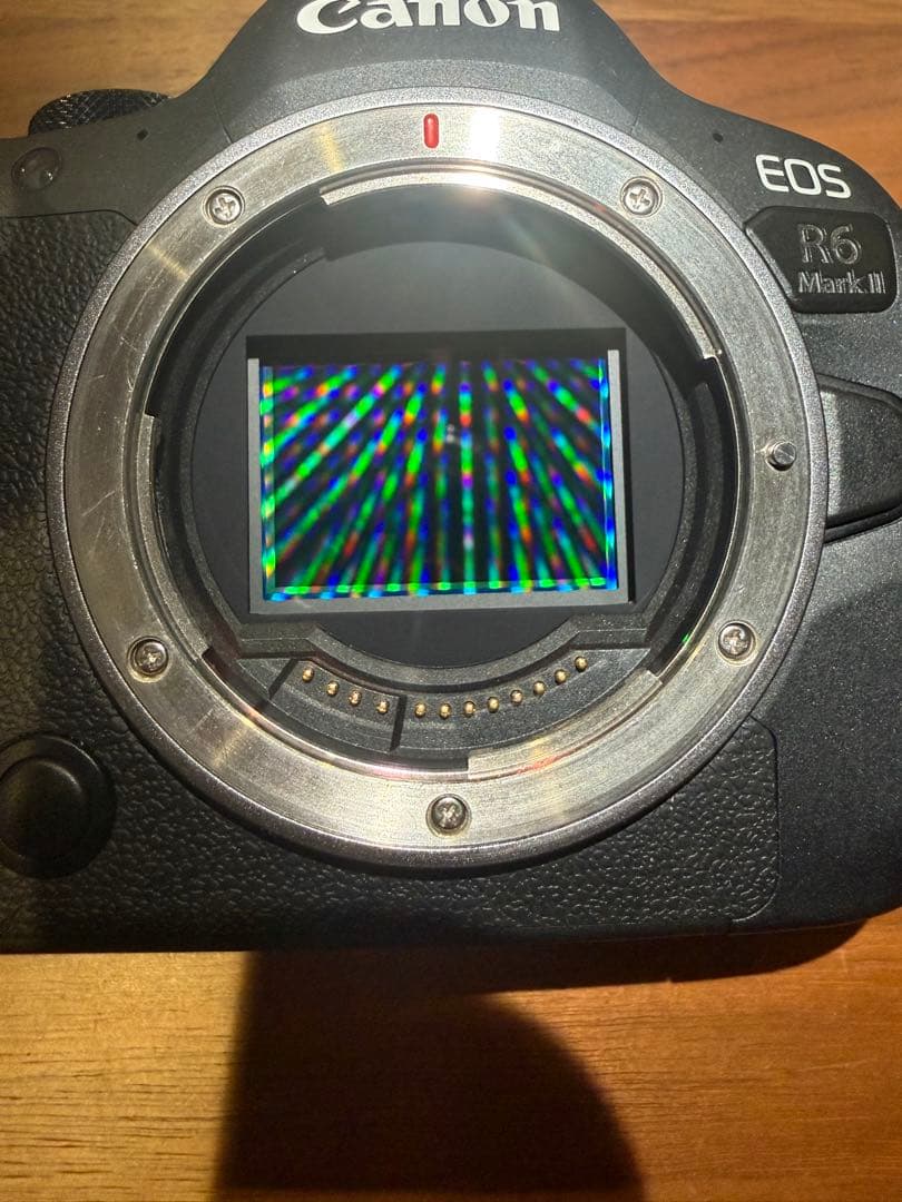 【美品】Canon EOS R6 Mark II 本体　ショット数8000以下！