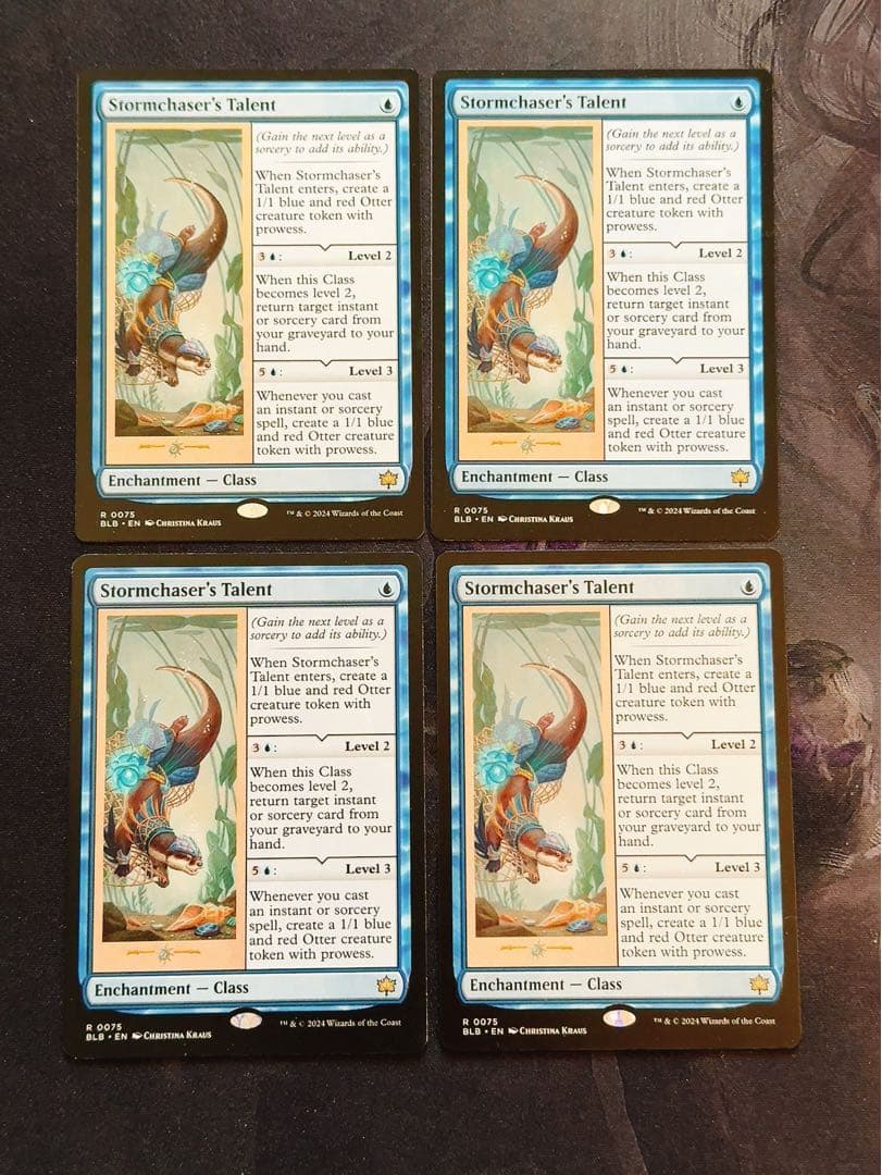 嵐追いの才能 英語 4枚セット