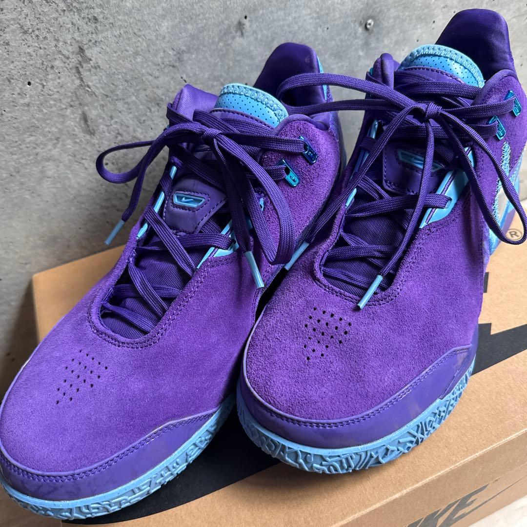 NIKE LEBRON NXXT GEN AMPD 紫 28cm
