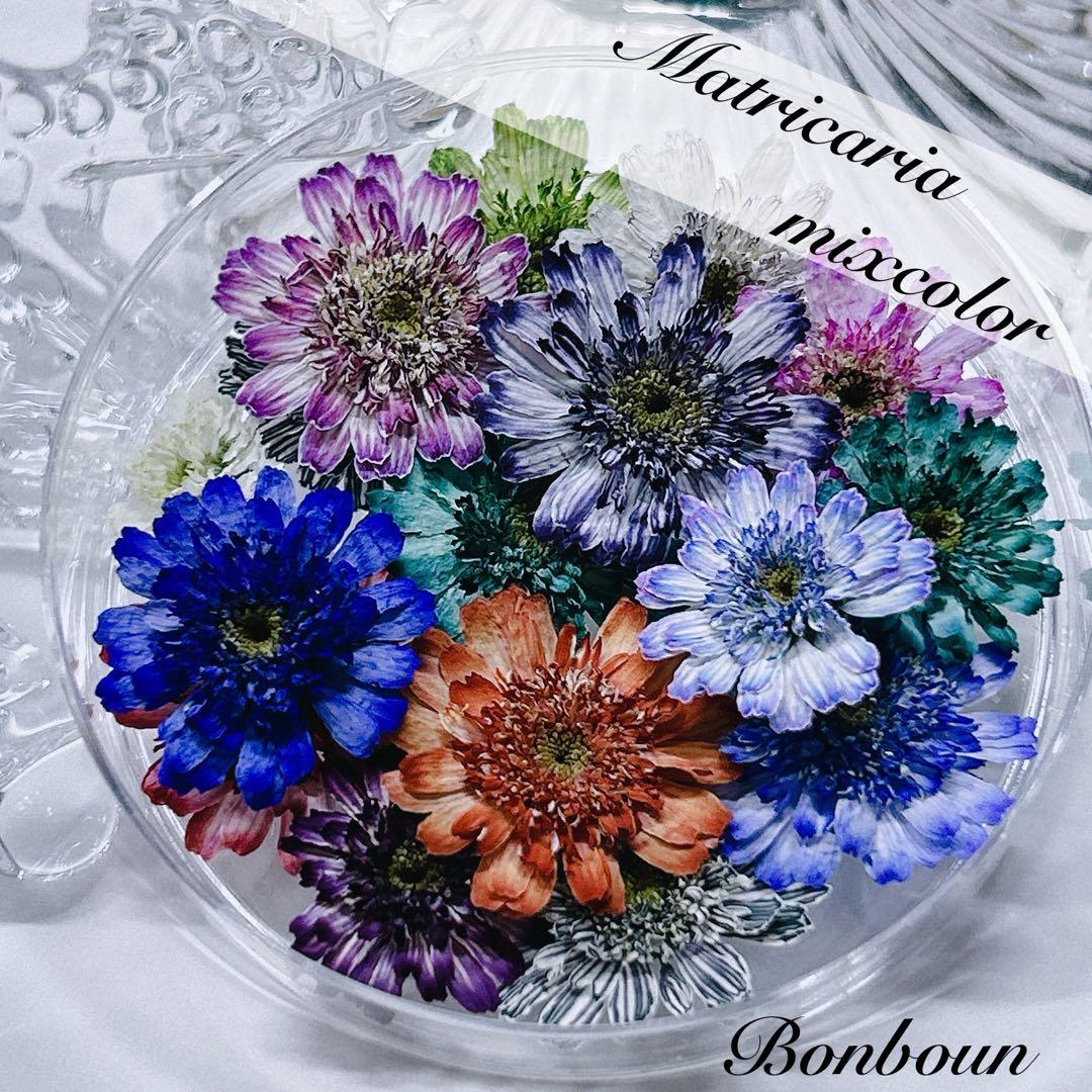 マトリカリア ドライフラワー ミックスカラー - メルカリ