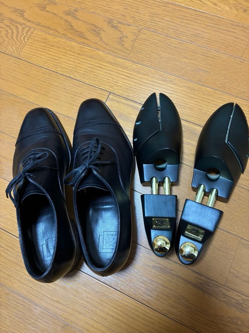 【ツリー込み】三陽山長　勇也　7.5 25.5