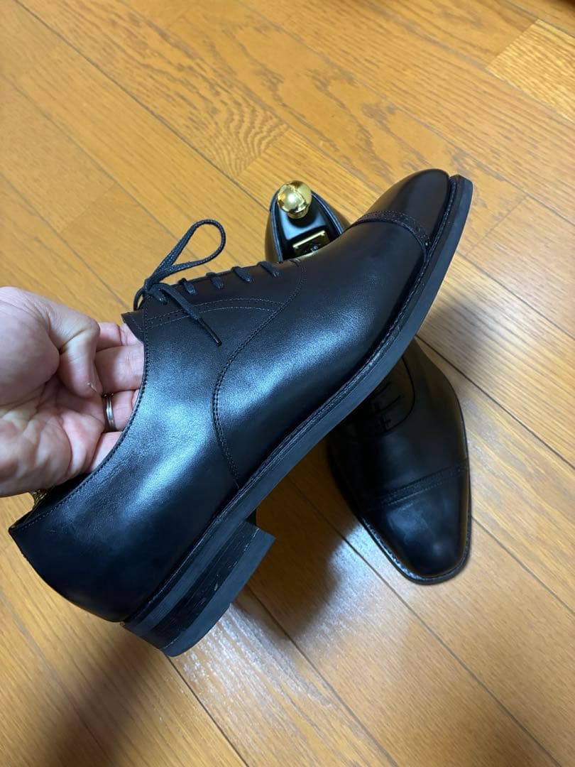 【ツリー込み】三陽山長　勇也　7.5 25.5