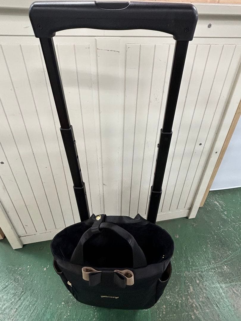 スワニー キャリーバッグ 4輪ストッパー付 D-552 ルバンドミニⅡ