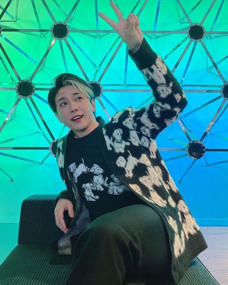 CELINE 犬柄 カーディガン エイミードリアン ニット 大森元貴 セリーヌ