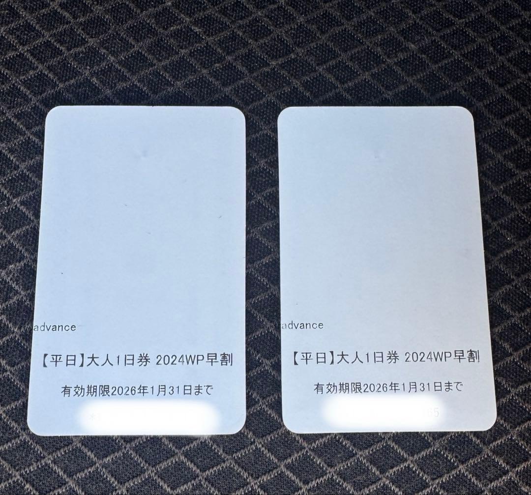 ハチ&ハチ北　平日大人1日券 ２枚セット