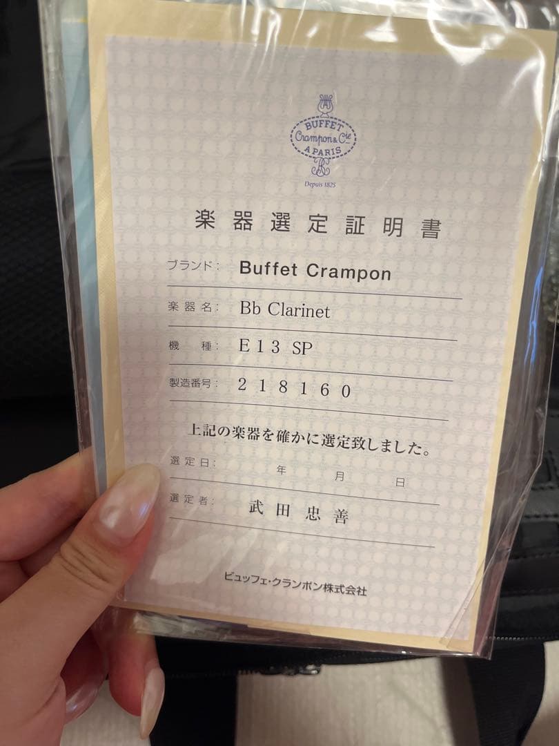 クランポン クラリネット本体 キャリングケース付き