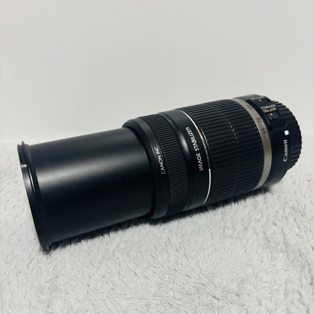 Canon EF-S 55-250mm IS STM 望遠レンズ