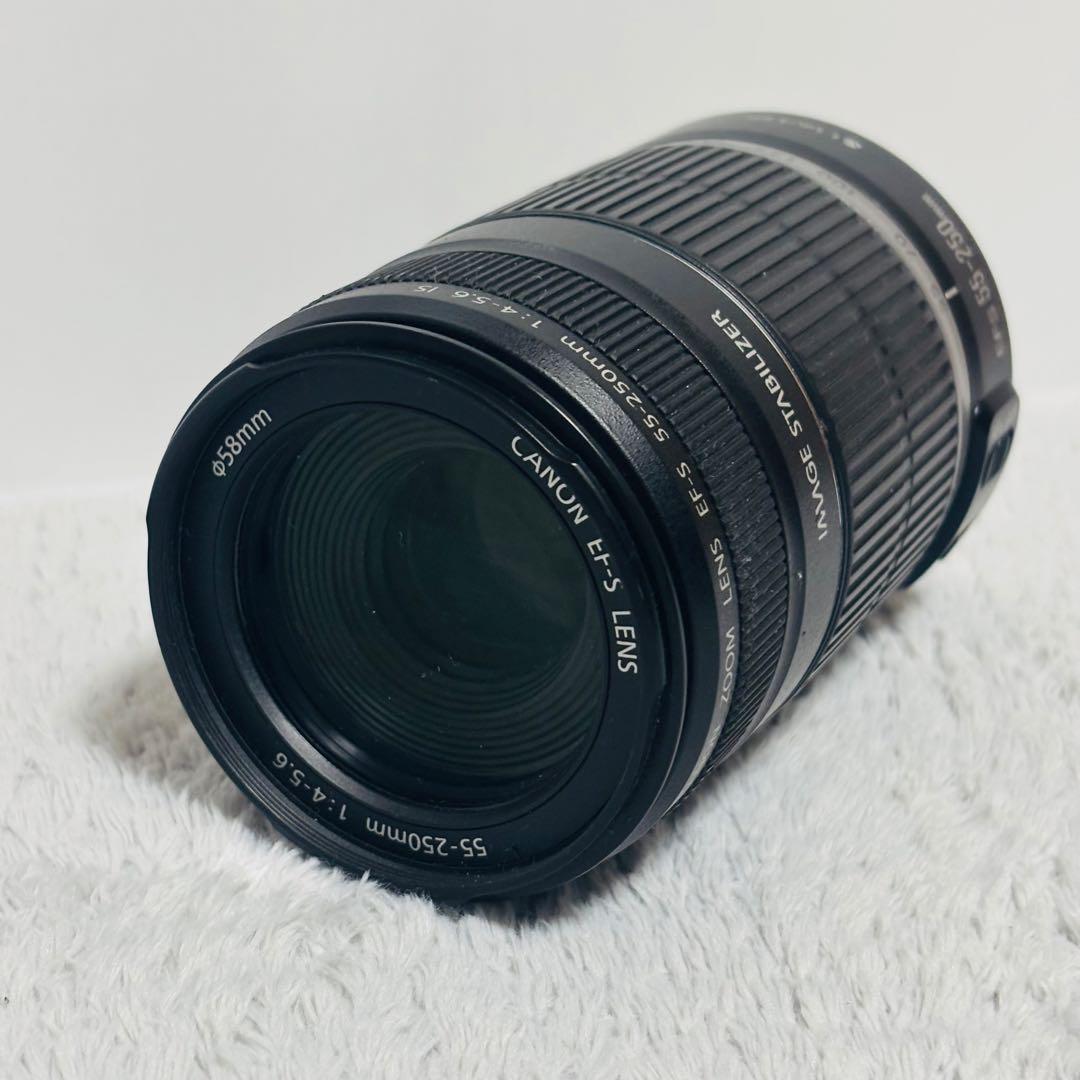 Canon EF-S 55-250mm IS STM 望遠レンズ