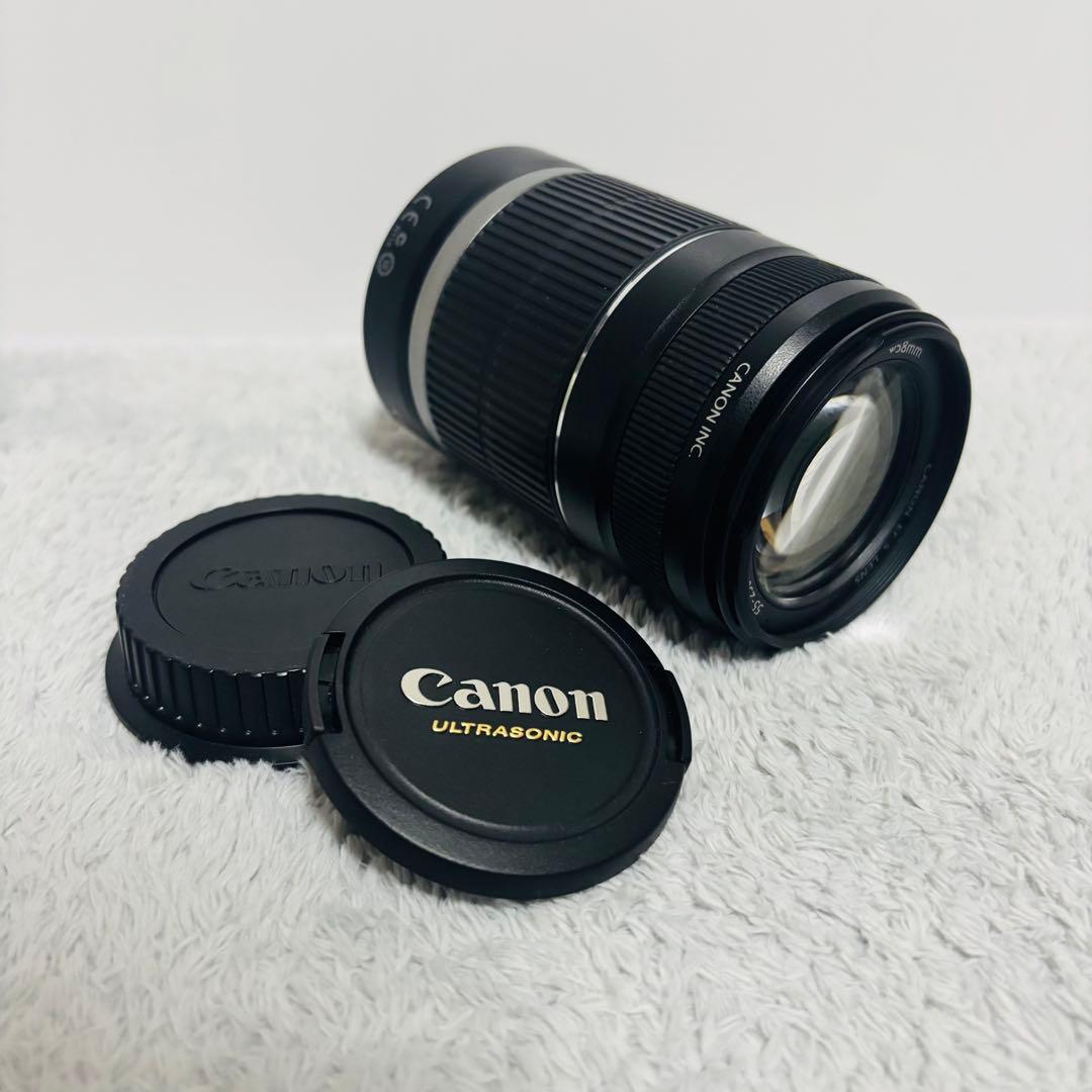 Canon EF-S 55-250mm IS STM 望遠レンズ