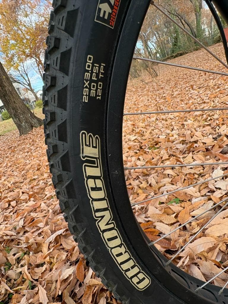 MTB SURLY KRAMPUS 29+ Sサイズ