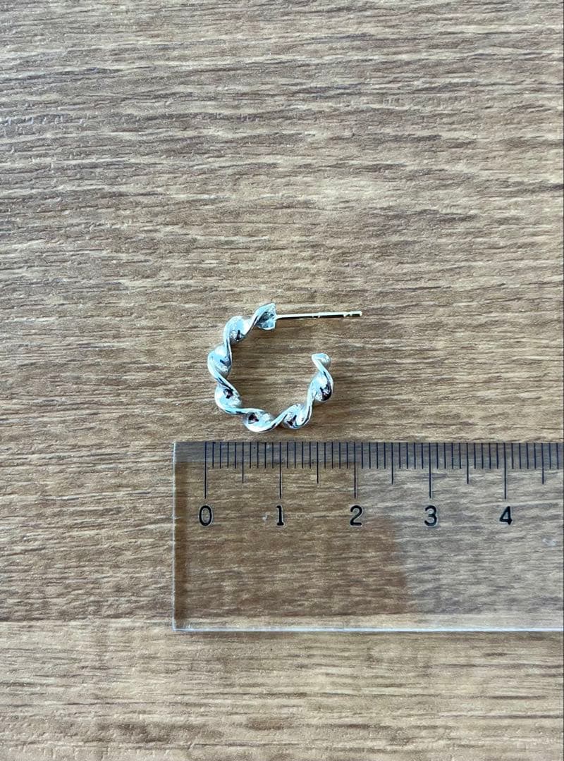 CAREERING WACKOMARIA ピアス