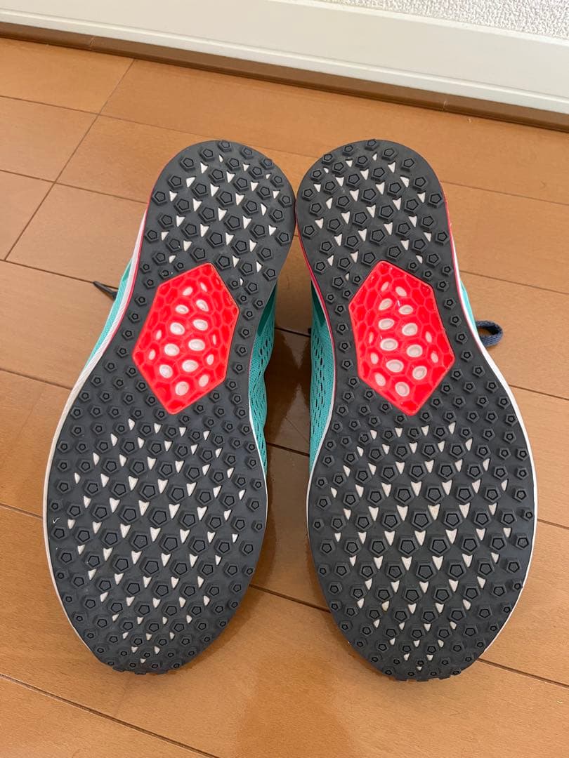 【希少】桜井和寿着用 NIKE エアズームスピードライバル6 (25.0cm)