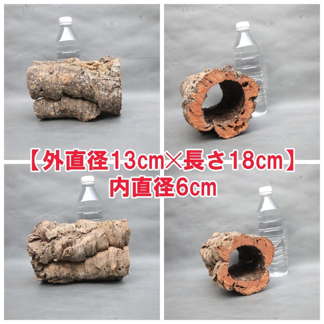 W593 ポルトガル産 キャノンコルク コルク樹皮 コルク板 バージン