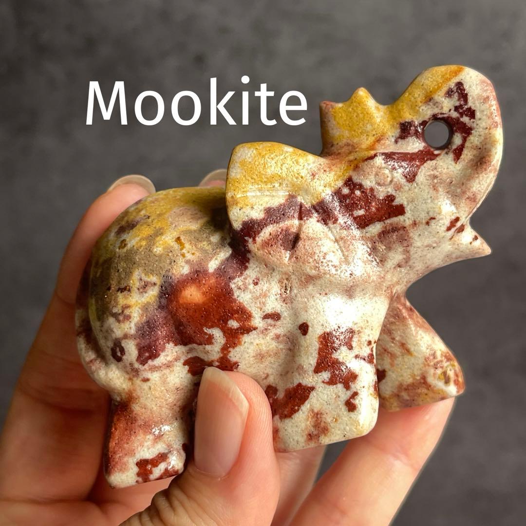 ムーアカイト 象