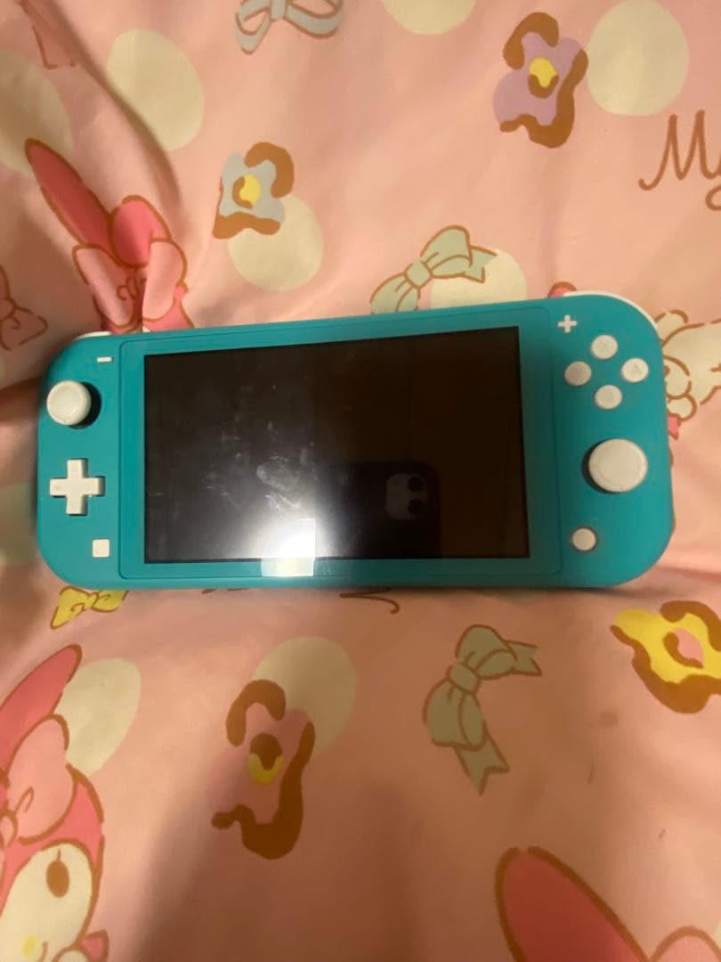 Switchライト 付属品なし