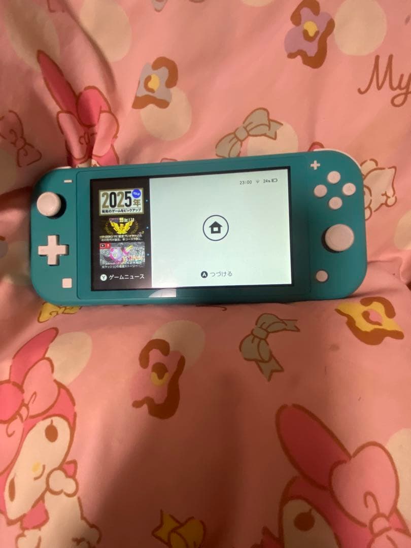 Switchライト 付属品なし