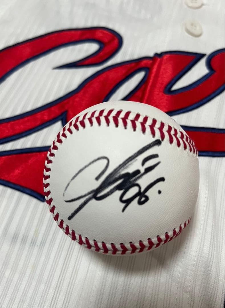 広島東洋カープ 中村奨成選手 直筆サインボール NPB公式球 - メルカリ