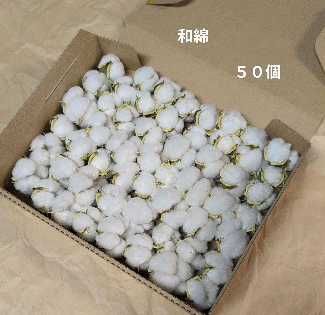 mi　訳あり　しめ縄　和綿　セット