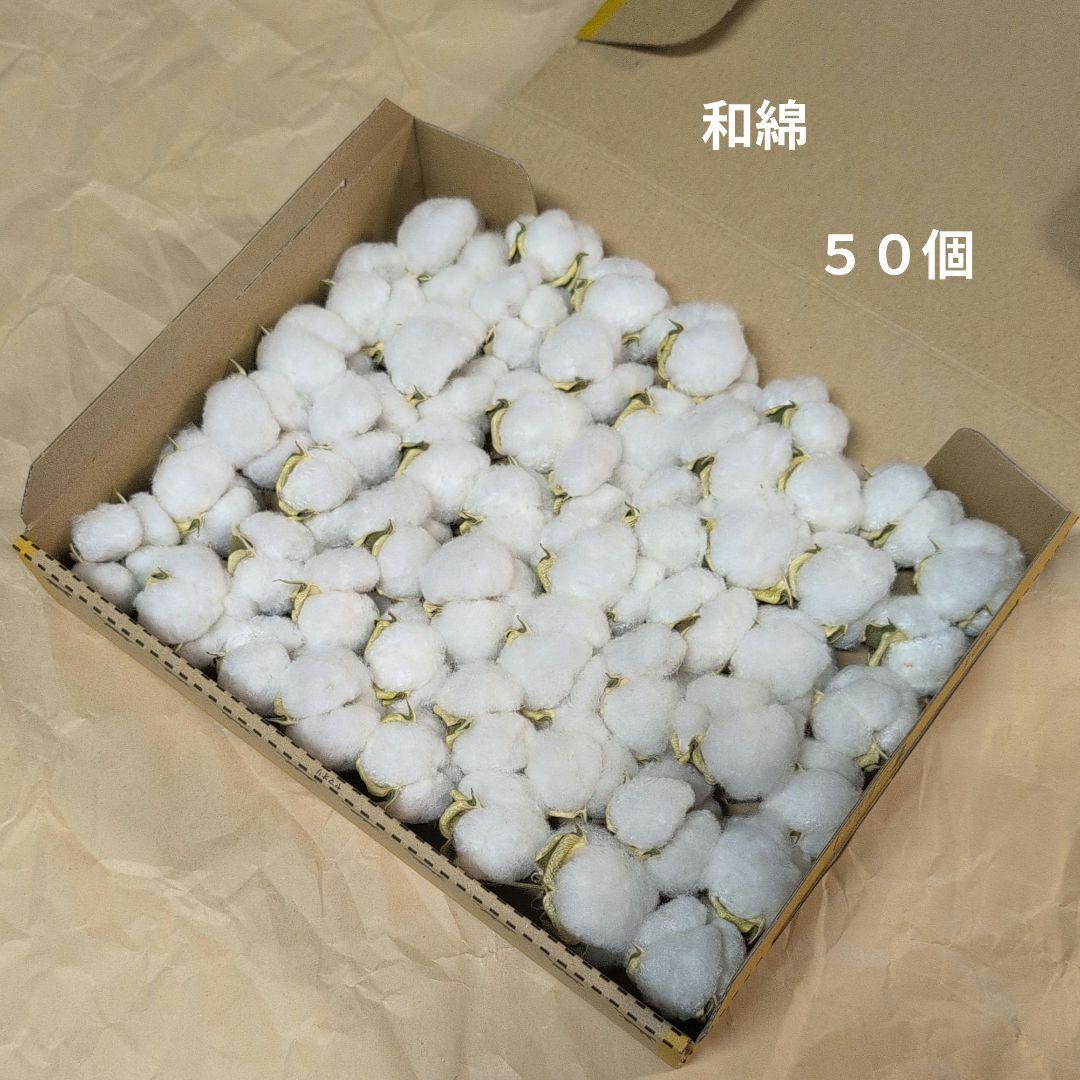 mi　訳あり　しめ縄　和綿　セット