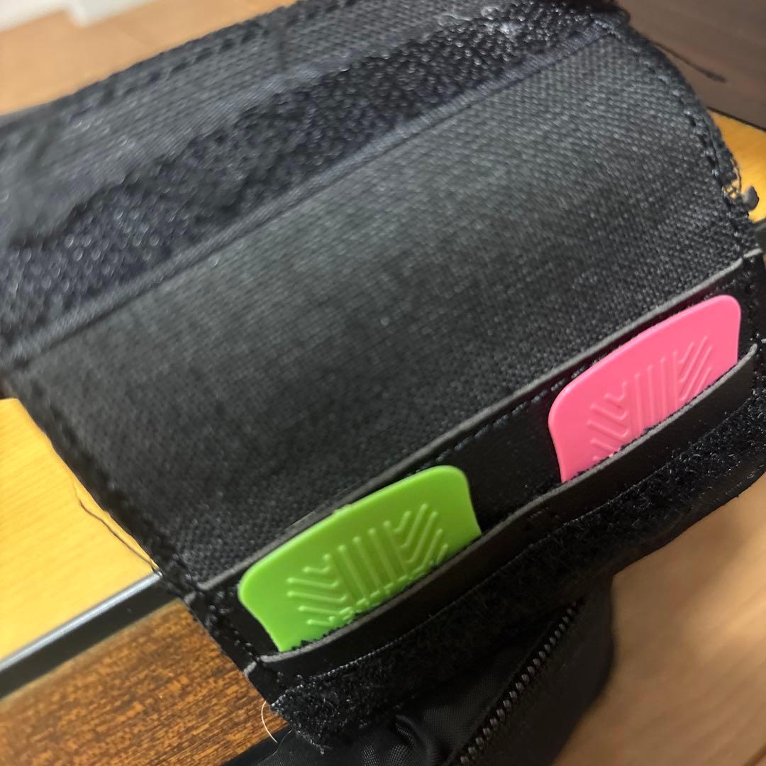 ライリッシュ 大正琴 LPS50 和楽器　専用ソフトケース付き