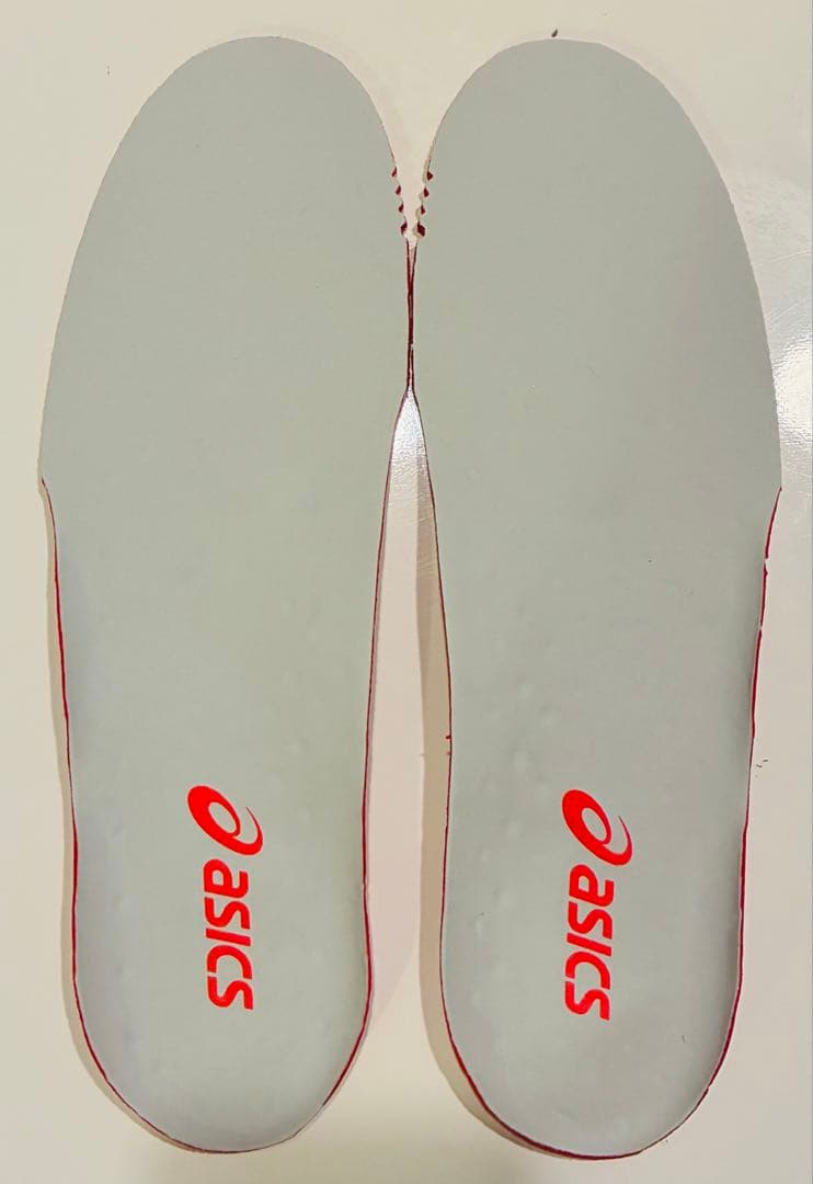 アシックスDS LIGHT X-FLY PRO 3 グリップソックス付き